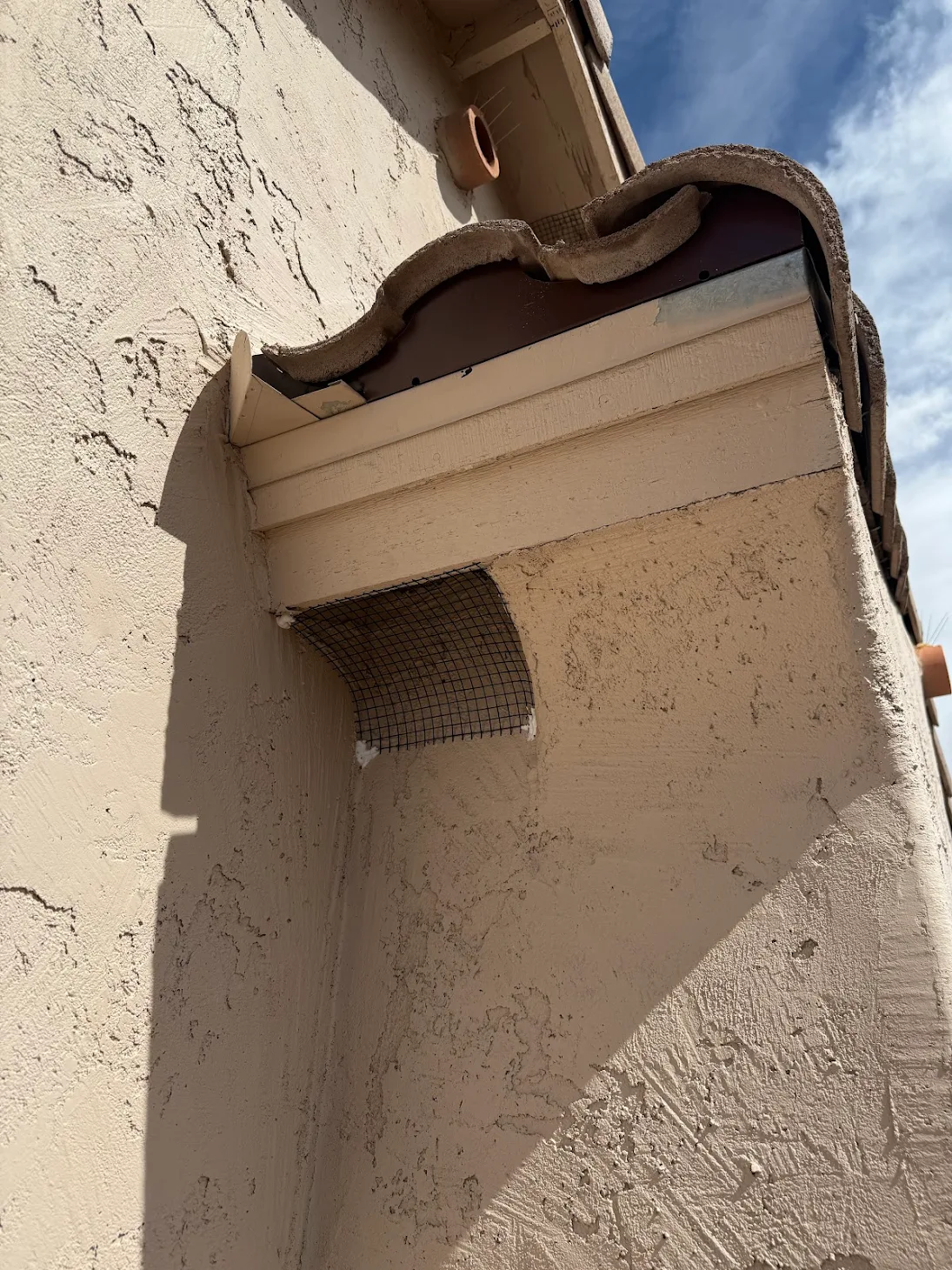 Mesh exclusion work installed at a roofline opening to help prevent small bird access.