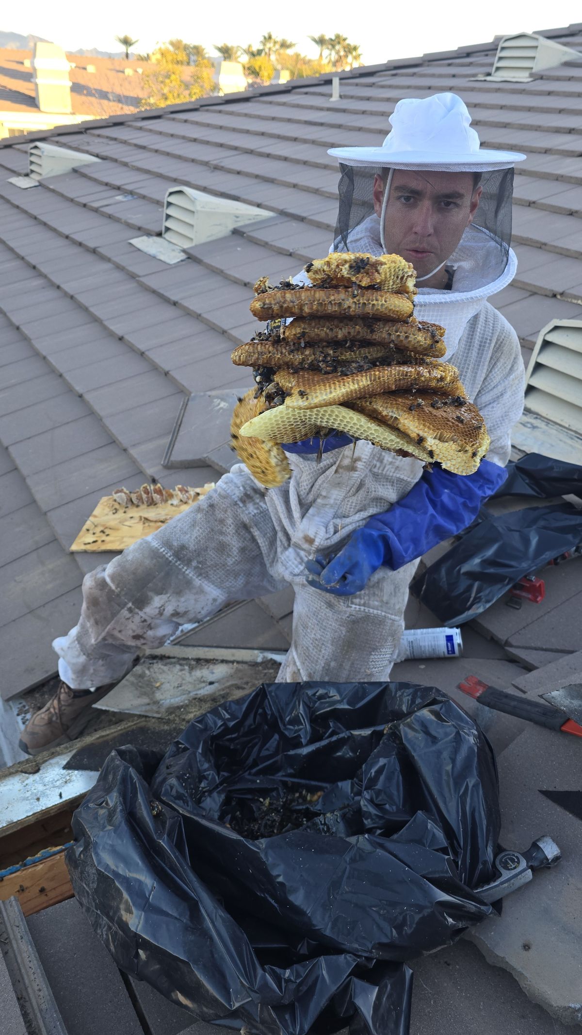 Comb Removal - photo 007