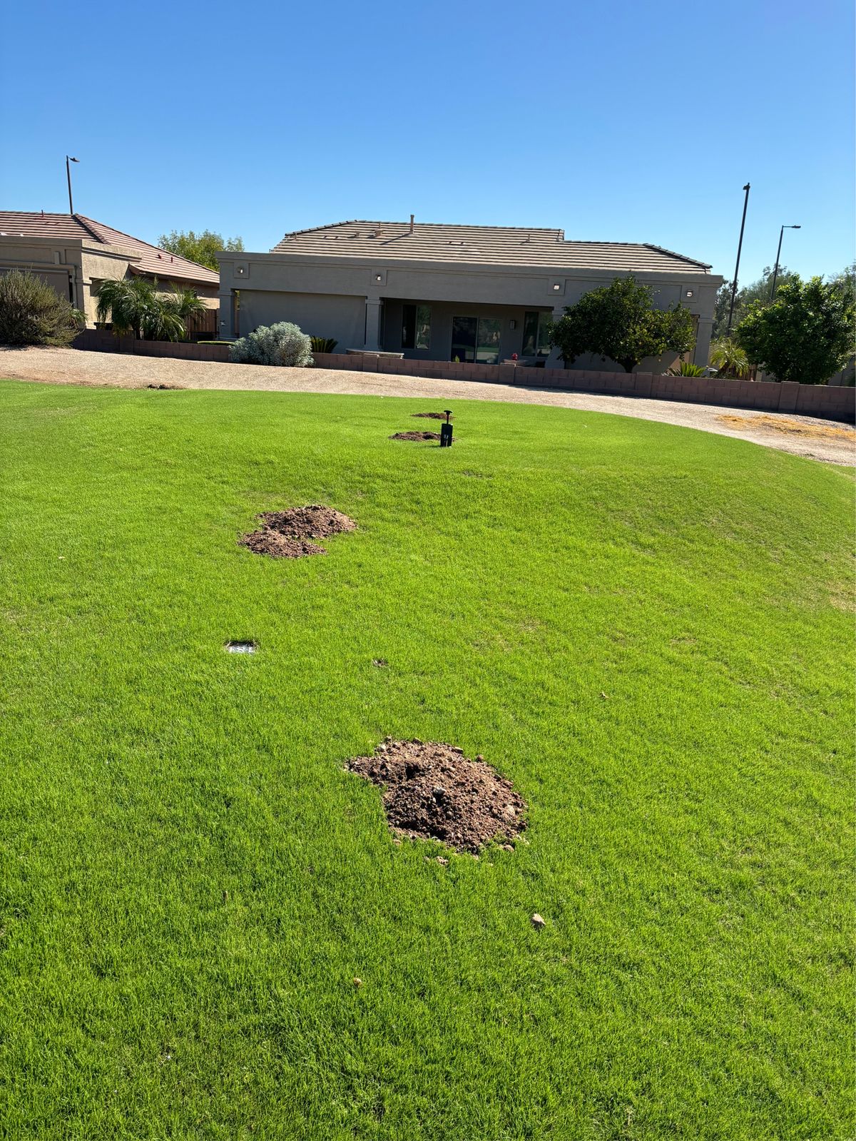 Gopher control photo 7