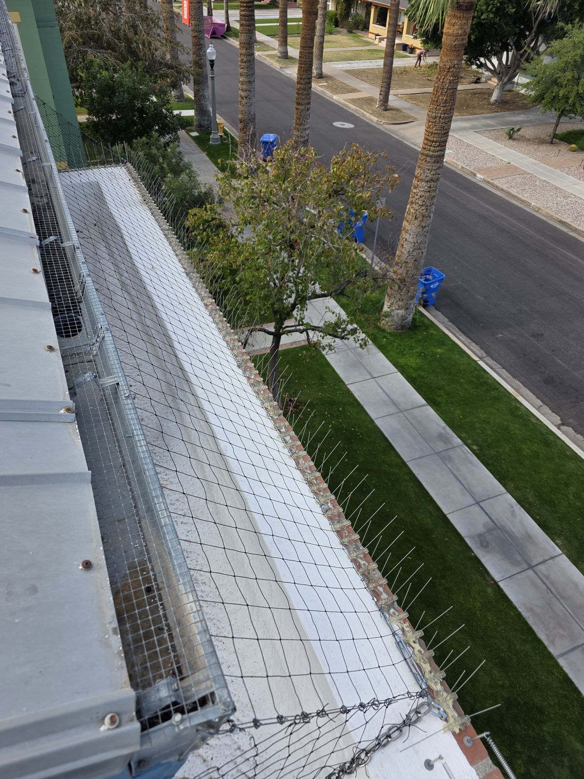 Alcove Netting - photo 5