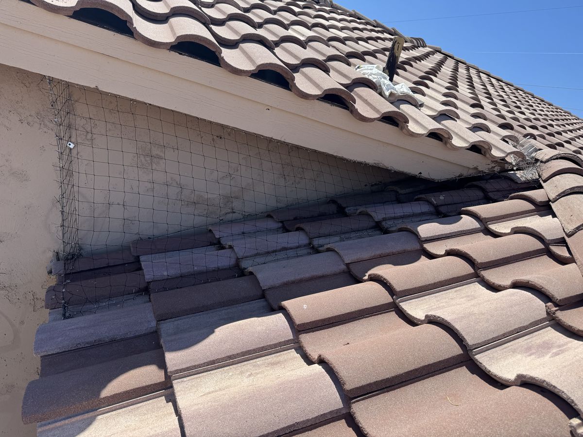 Alcove Netting - photo 19