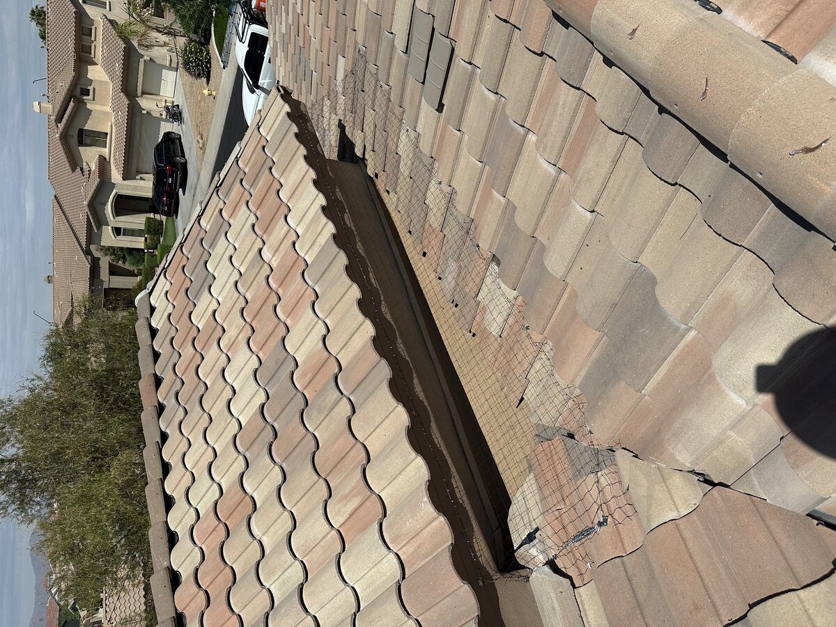 Bird netting under a tile roof eave