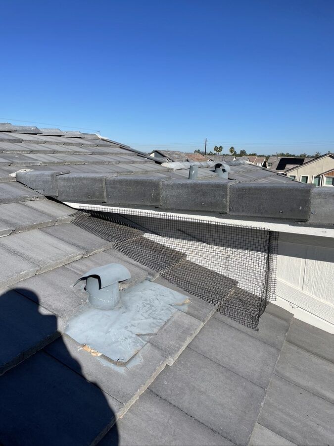 Eave mesh screen pest exclusion on a home