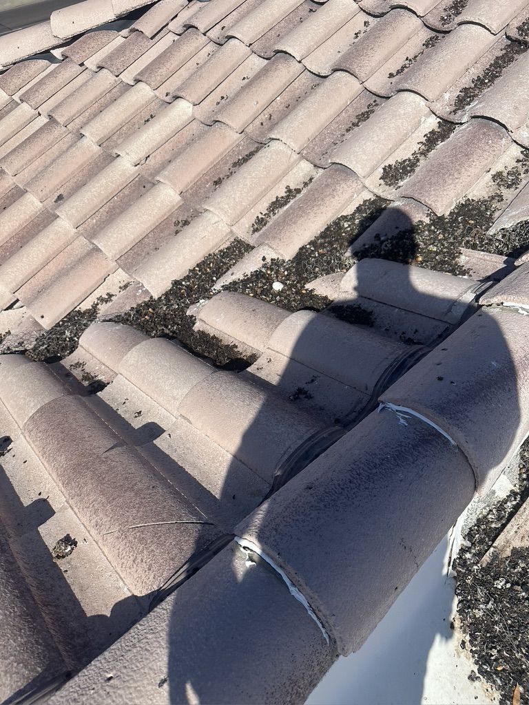 Pigeon Feces Damage - photo 5