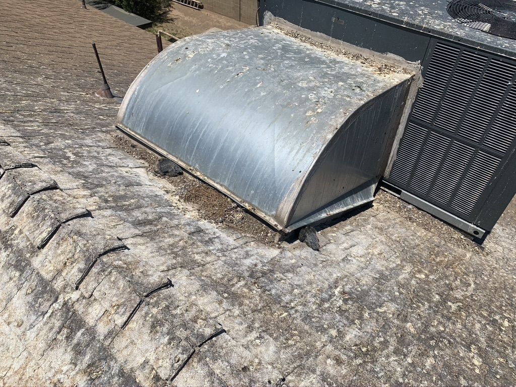 Pigeon Feces Damage - photo 43