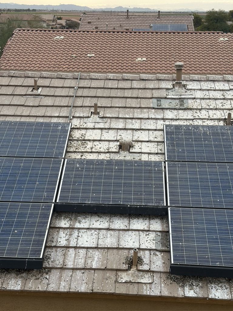 Pigeon Feces Damage - photo 50