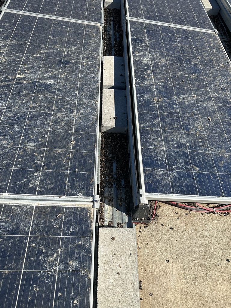 Pigeon Feces Damage - photo 69