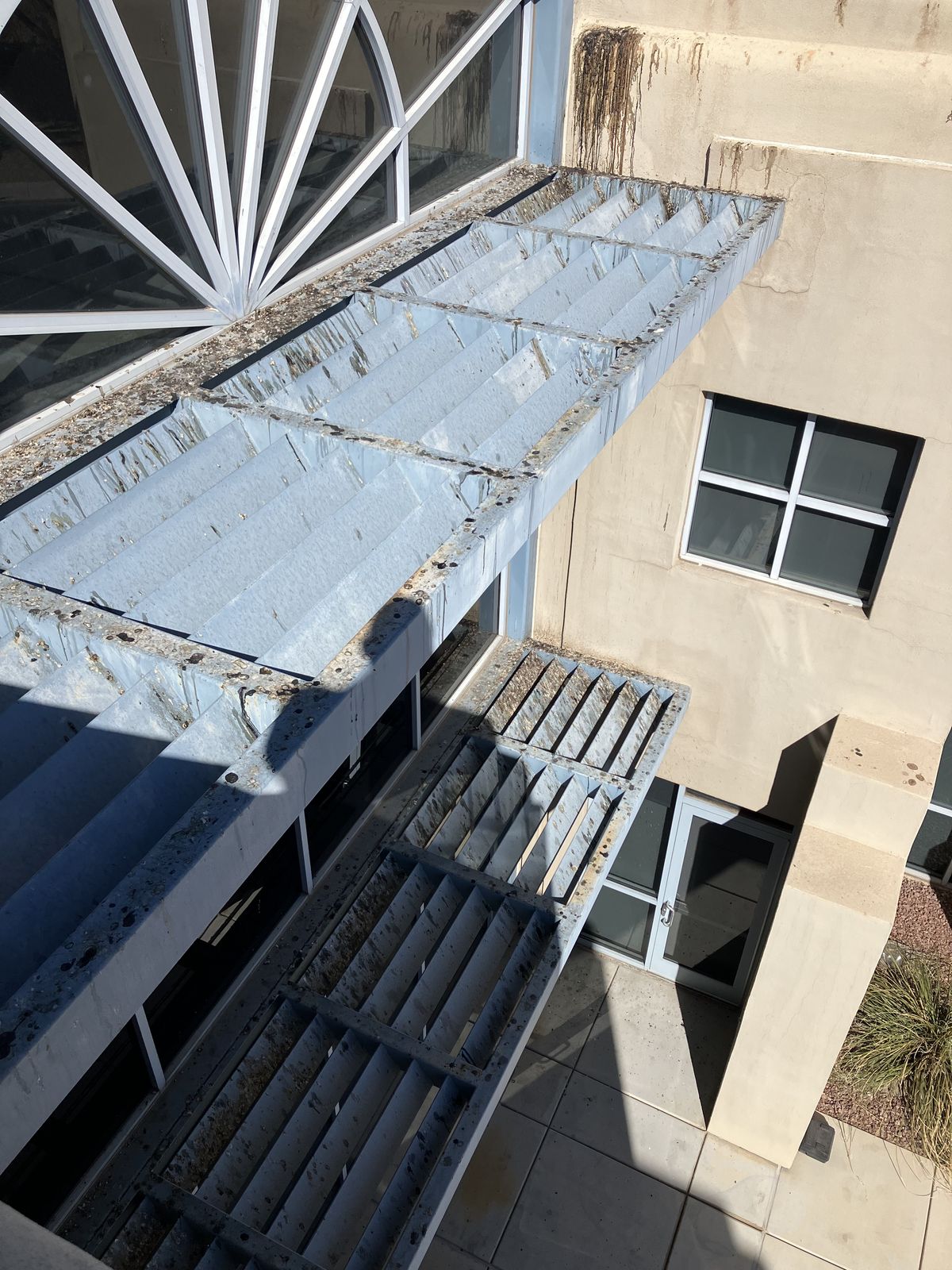Pigeon Feces Damage - photo 83