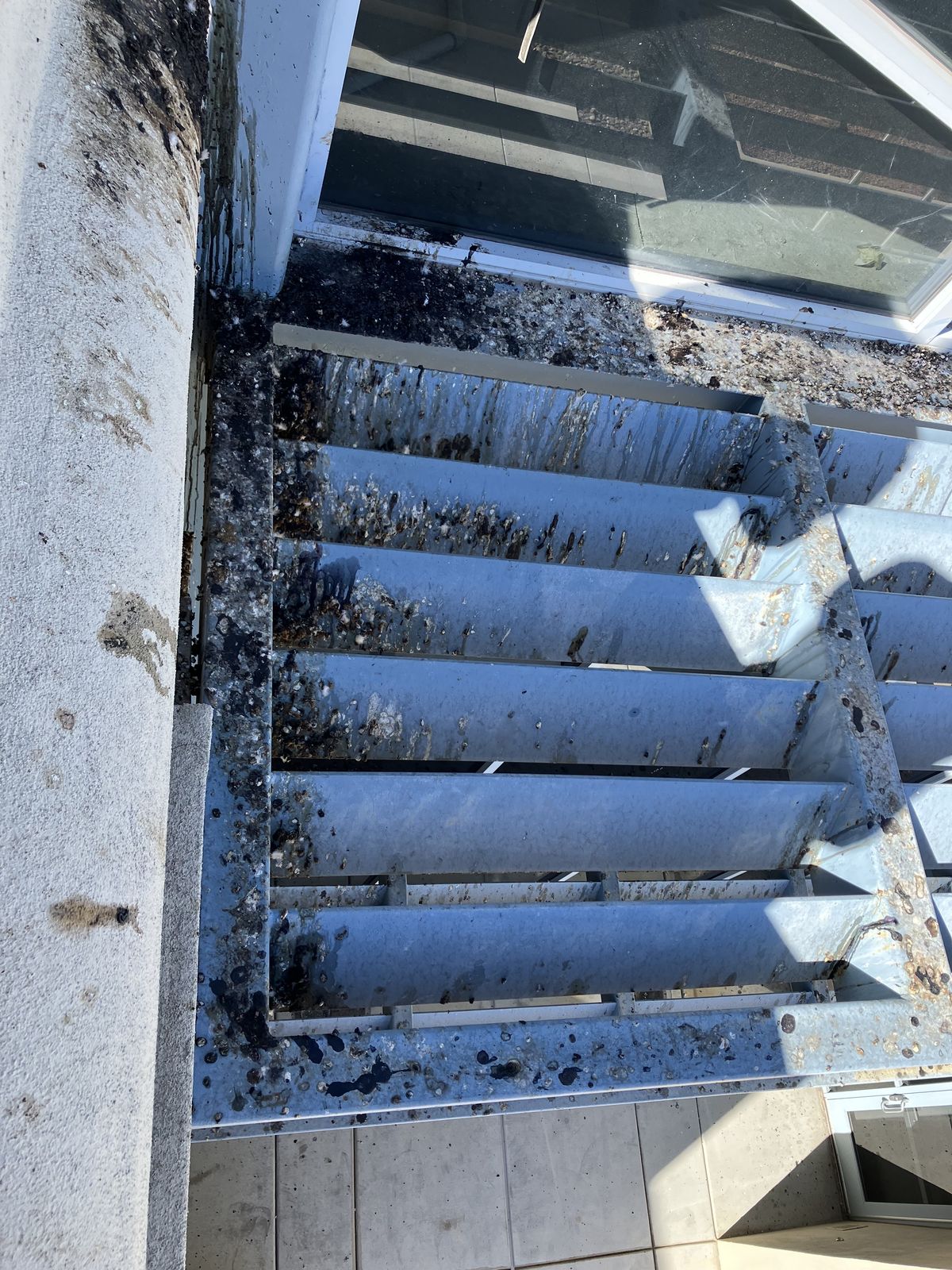 Pigeon Feces Damage - photo 84