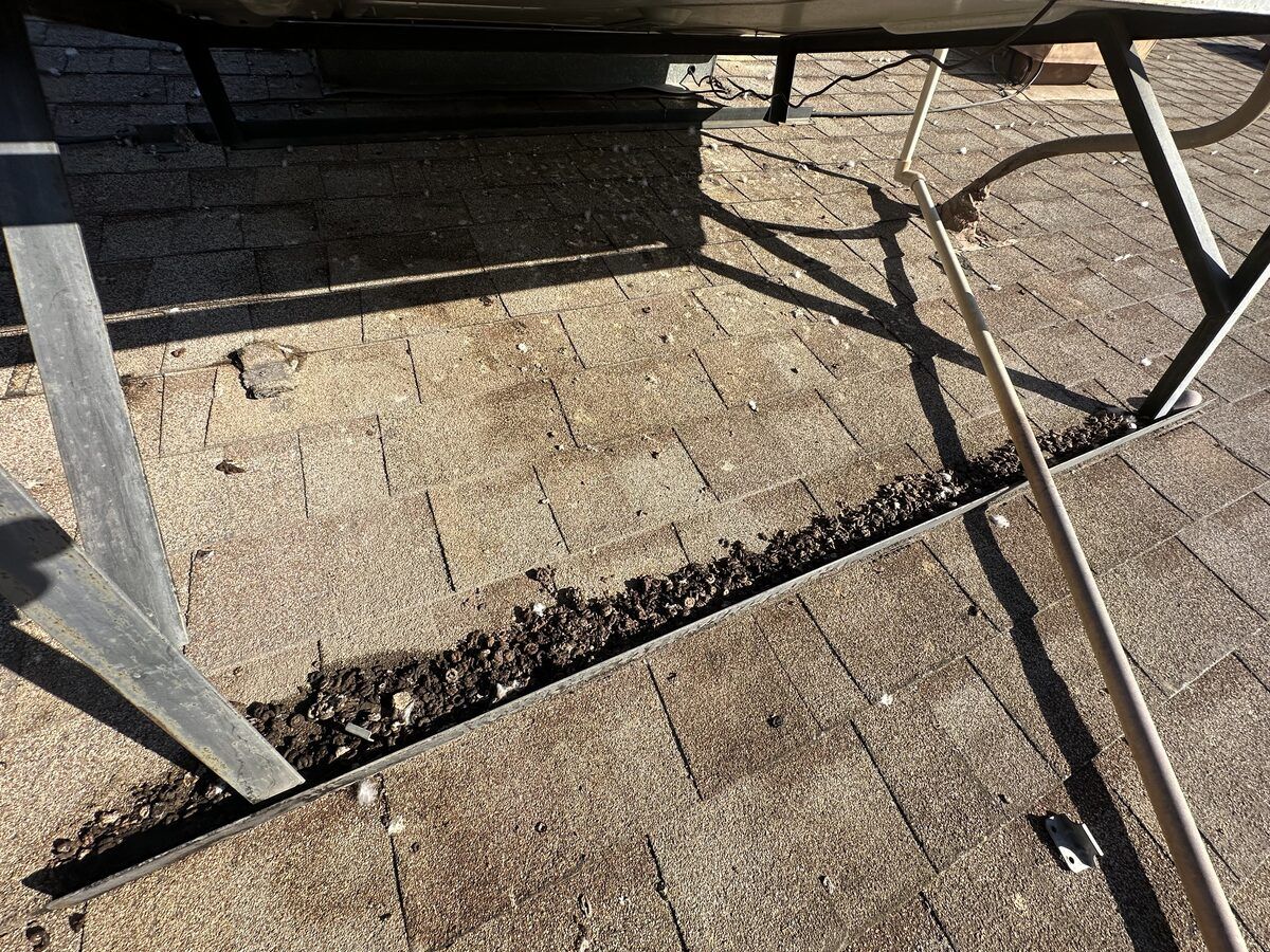 Pigeon droppings accumulated on a rooftop channel