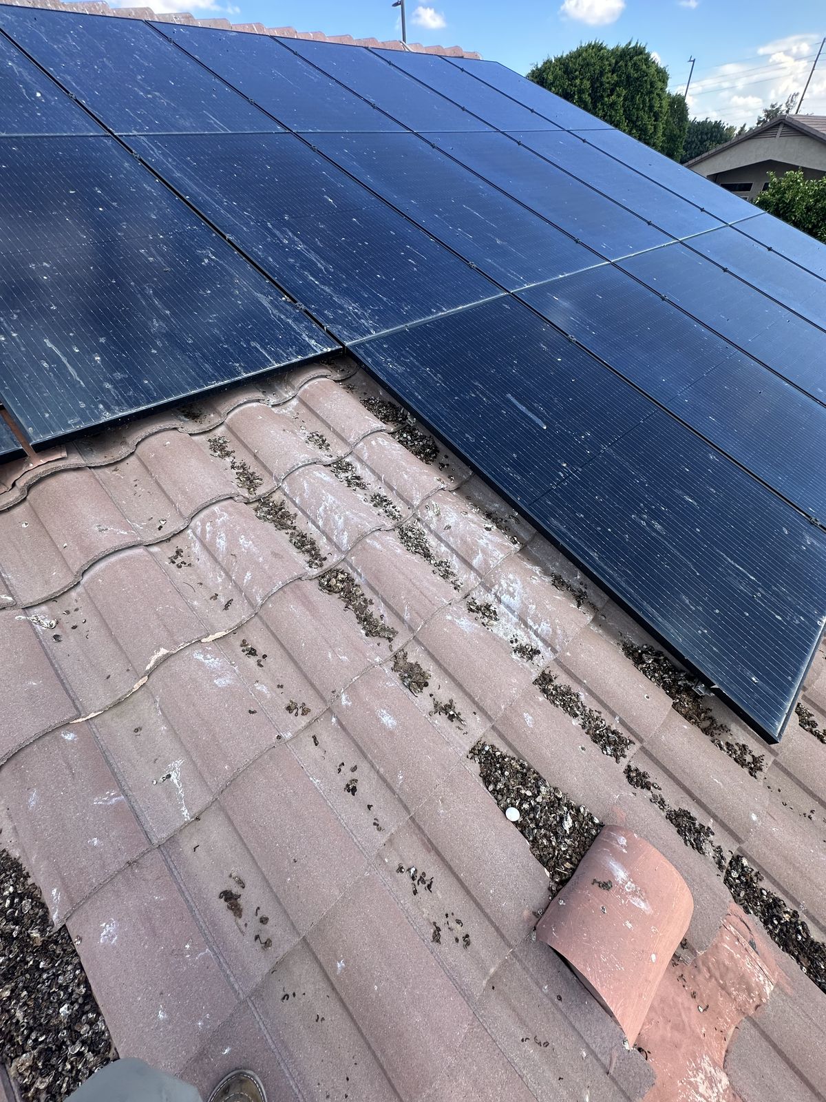 Solar Panel Exclusions - photo 22