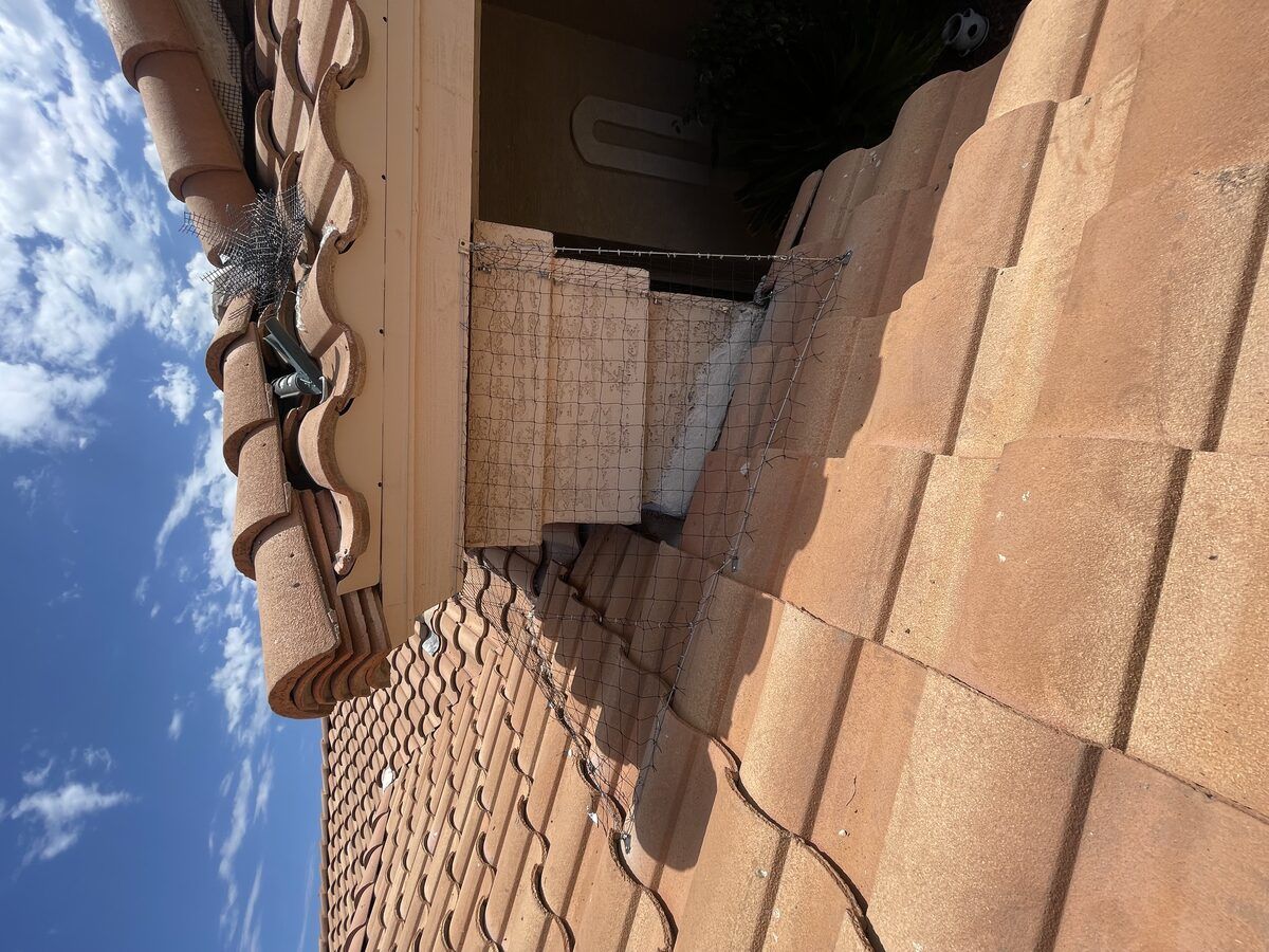 Pigeon netting installed in a stucco alcove
