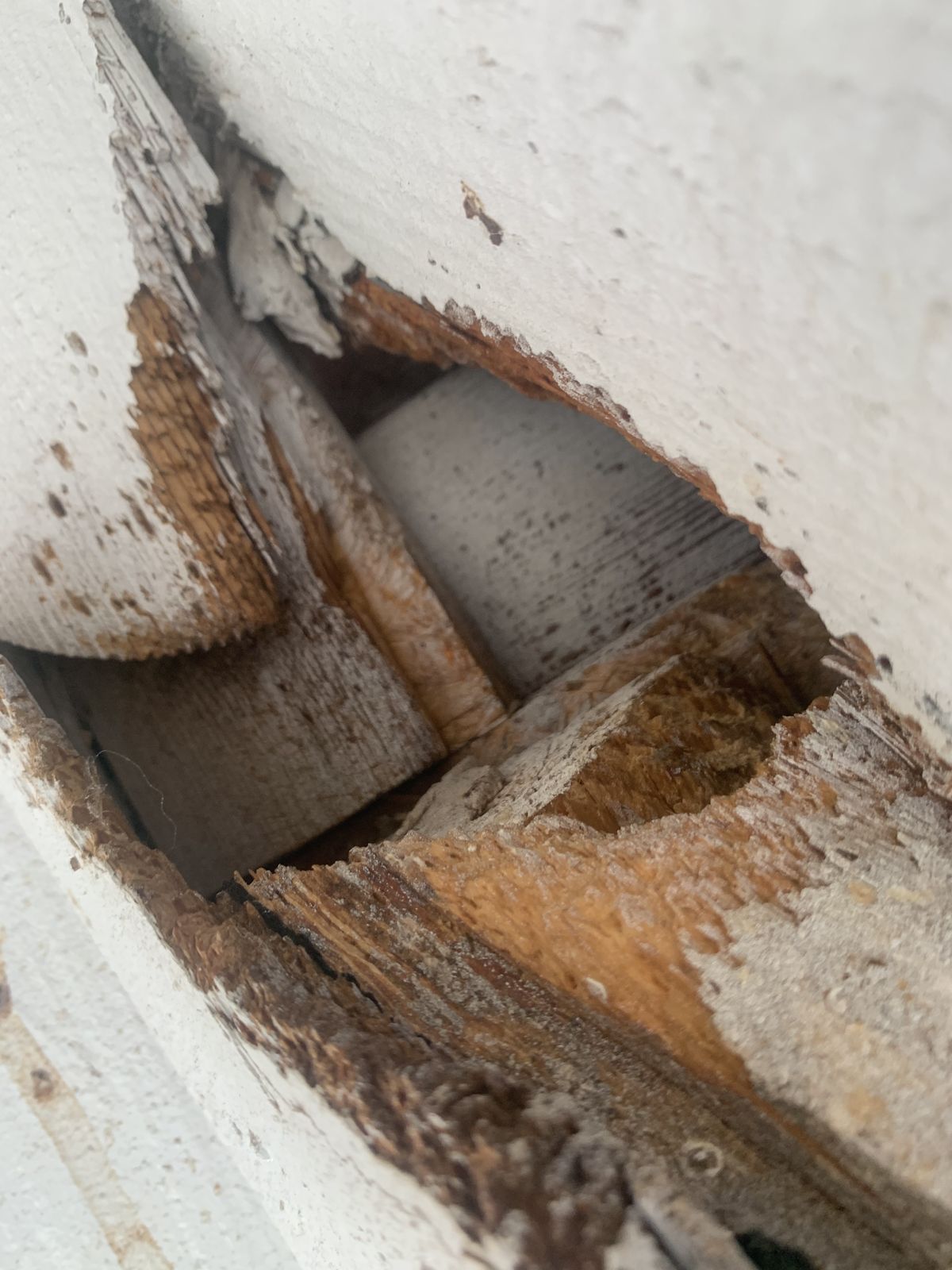 Entrypoints Inspection - photo 014