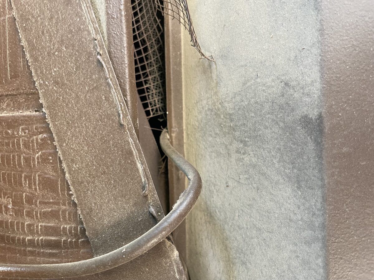 Rodent control photo 18