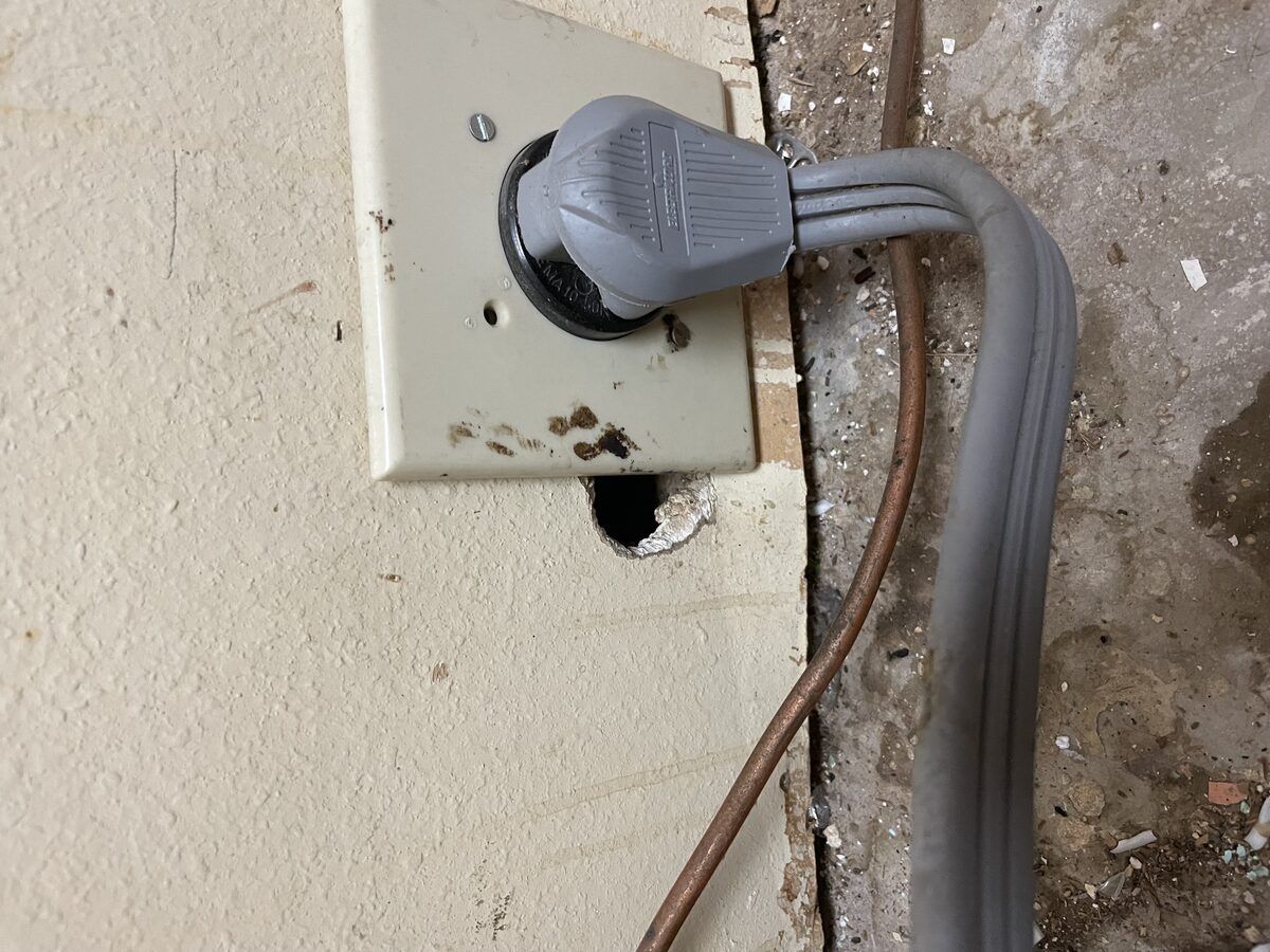 Rodent control photo 4