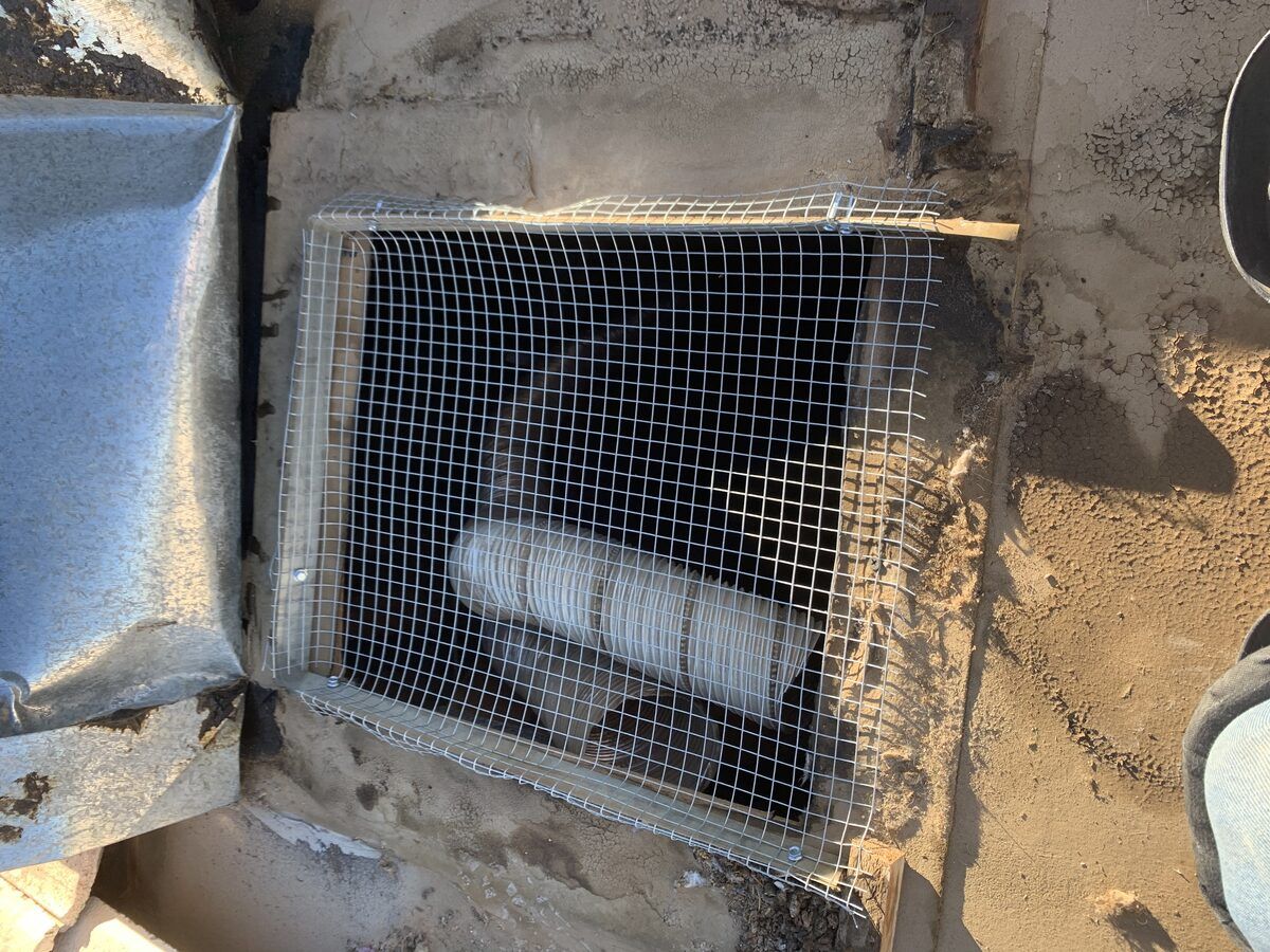 Rat nesting material removed from attic of desert custom home