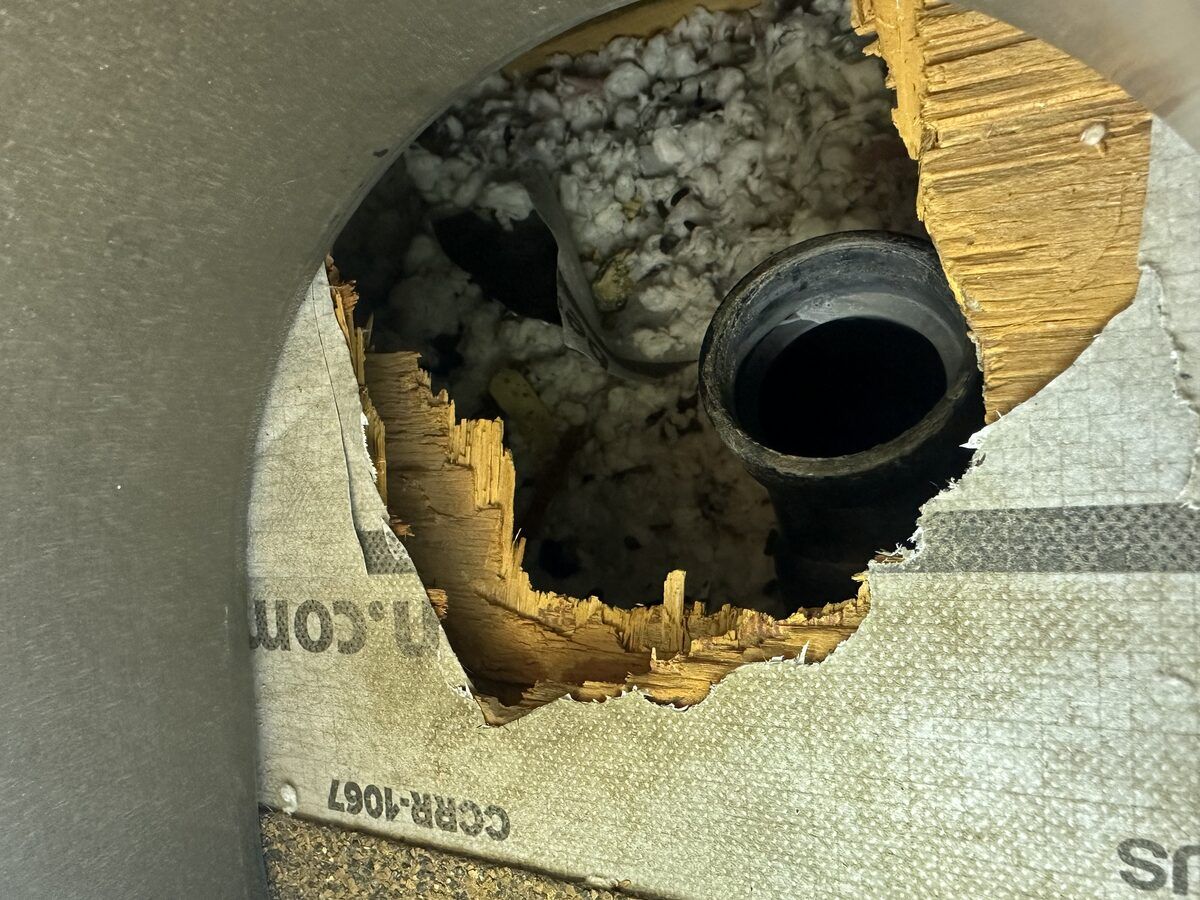 Rodent entry point at pipe penetration sealed
