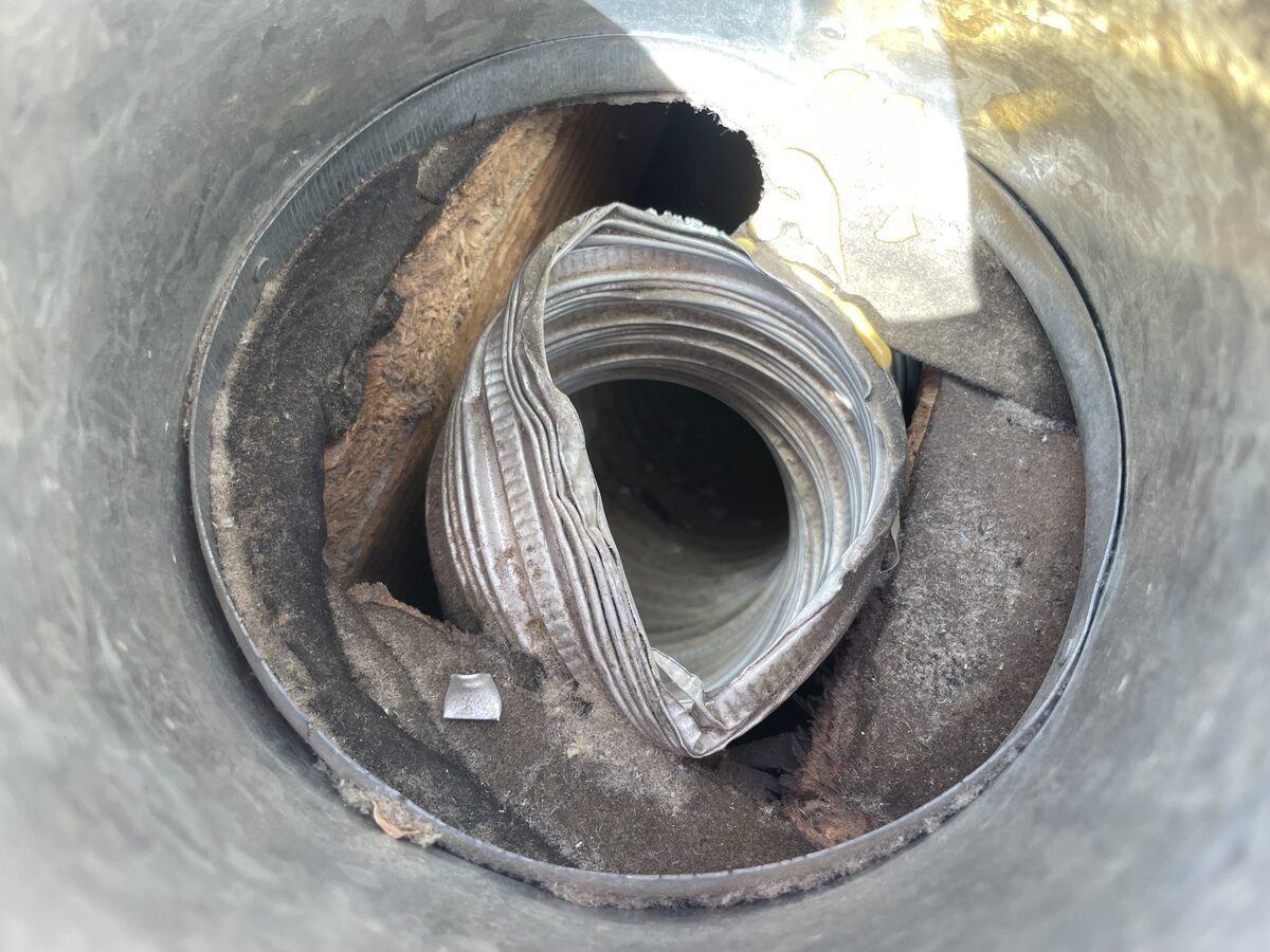 Sewer rat burrow found during Central Phoenix inspection