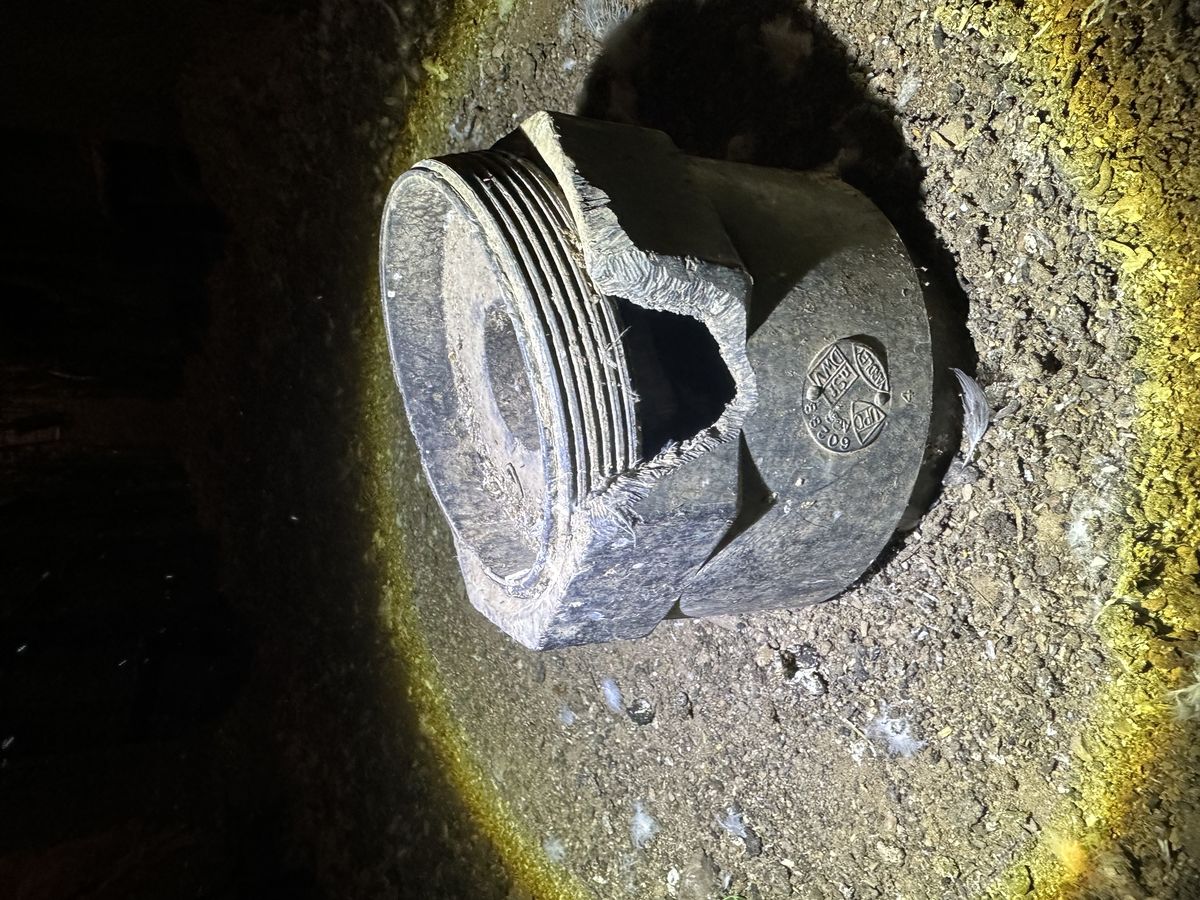Bark scorpion found during high-desert property inspection