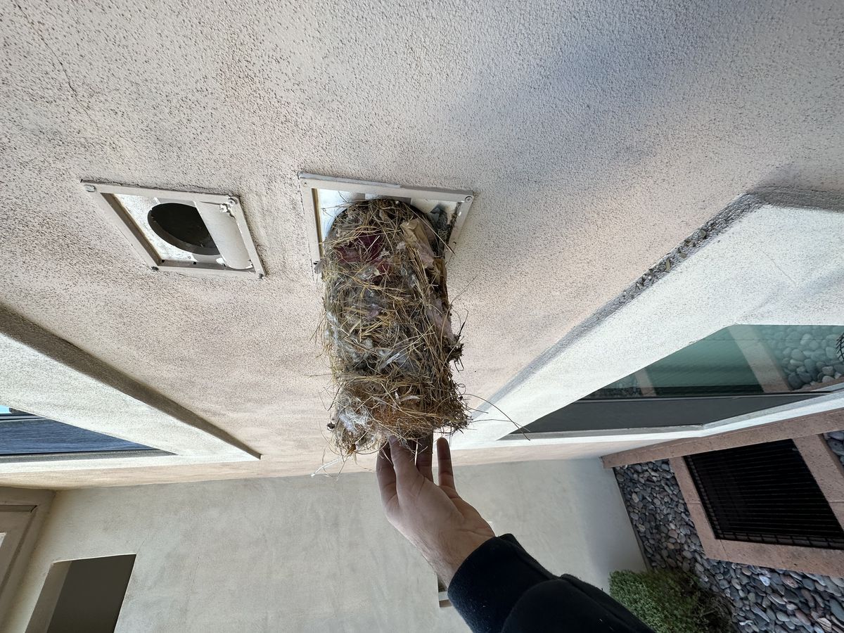 Small bird deterrent mesh barrier professionally installed on residential structure in Fountain Hills AZ to block nesting access