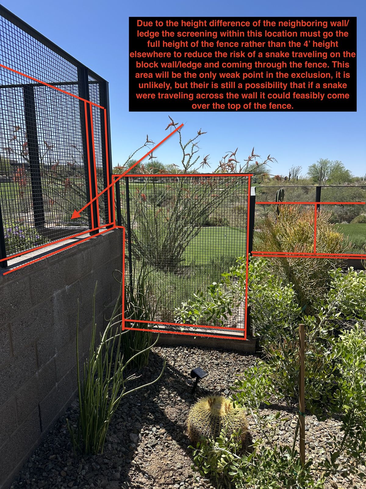 Snake removal and control photo 3