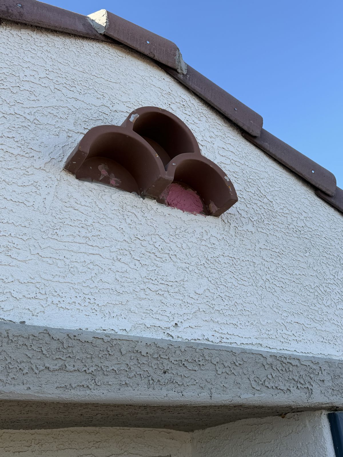 Woodpecker damage and deterrent photo 3