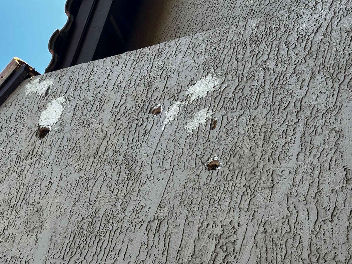 Woodpecker damage and deterrent photo 5