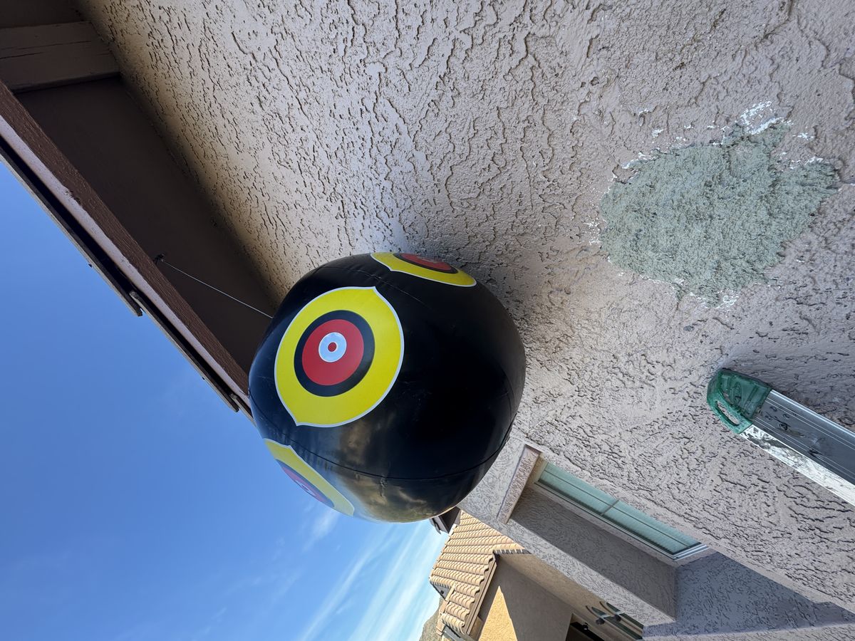 Woodpecker damage and deterrent photo 9
